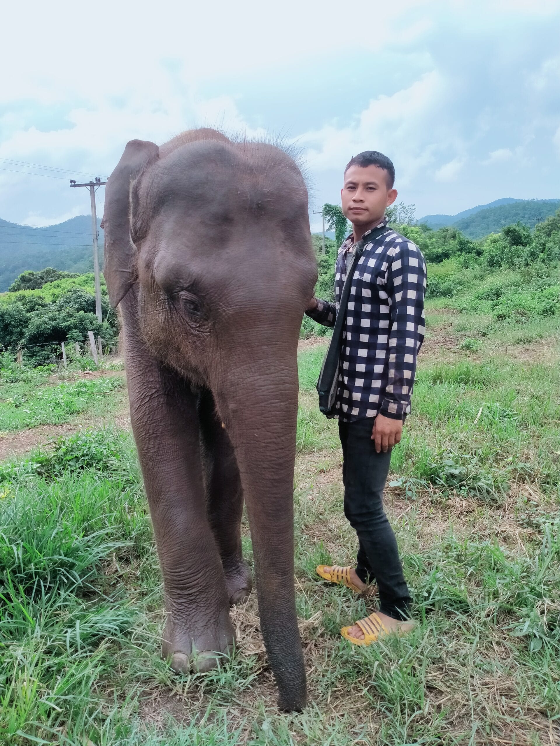 A young mahout with his elephant in Northern Thailand